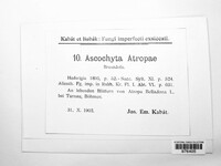Ascochyta atropae image